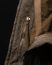 hide ss23 pt ii 18 web