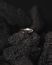 ROSA MARIA CARYS S ST ST DIX RU Ring Jewellery Jewelry Schmuck 925 Sterling Silver Rubies hide m 1