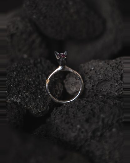 ROSA MARIA CARYS S ST ST DIX RU Ring Jewellery Jewelry Schmuck 925 Sterling Silver Rubies hide m 2