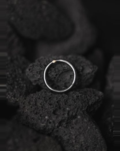 ROSA MARIA IMAGE ST DIA IG Ring Jewellery Jewelry Schmuck men women 925 Sterling Silver Icy Grey Diamonds hide m 2