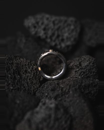 ROSA MARIA FAY TO ST DIA BLK DIV14(4)B S DIX BLK Ring Jewellery Jewelry Schmuck 925 Sterling Silver Black Diamonds hide m 2